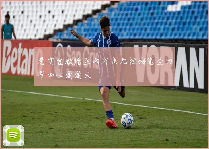 悬赏金激增至两万美元拉姆塞全力寻回心爱爱犬